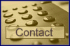 Contact Information